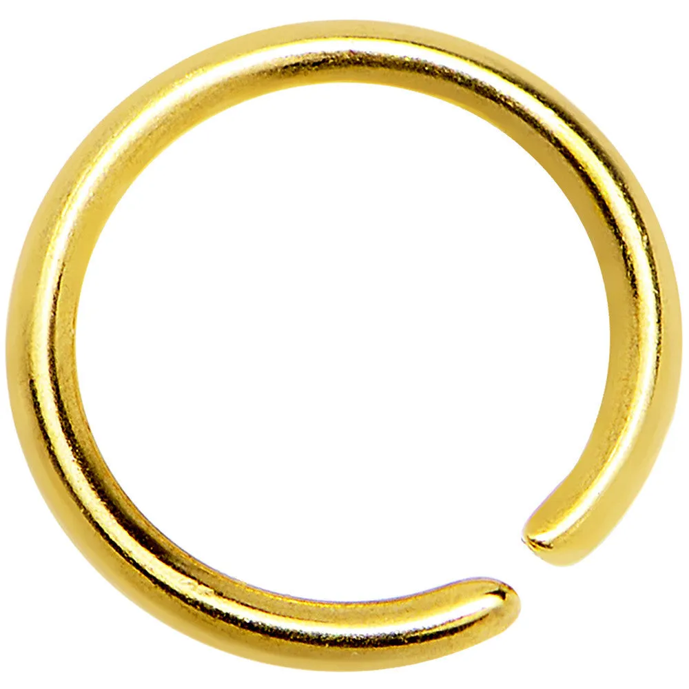20 Gauge 1/4 Gold IP Annealed Steel Seamless Circular Ring