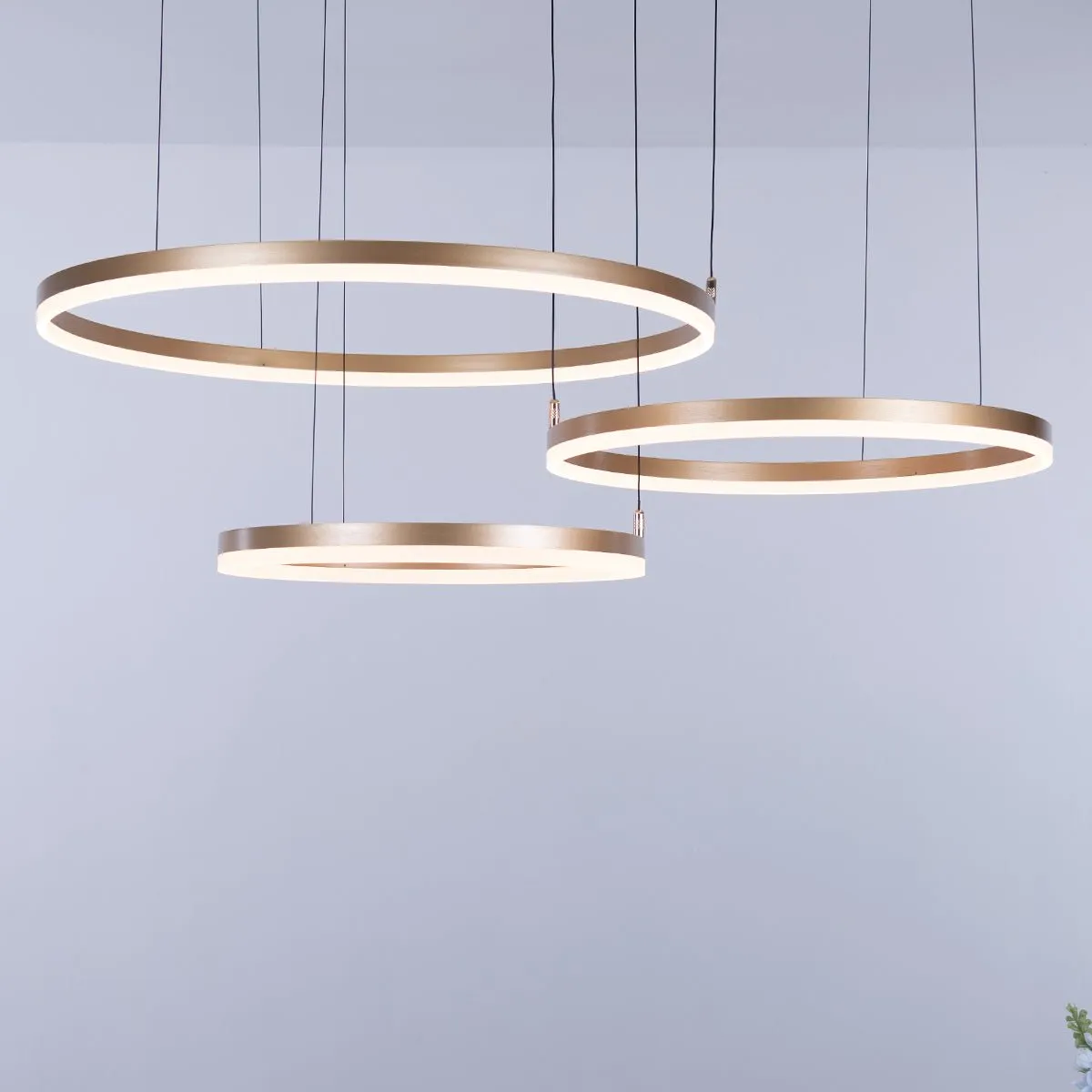 Nordic Rings Ceiling Light  • Gold