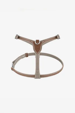 PAGERIE | THE PETITE XXS